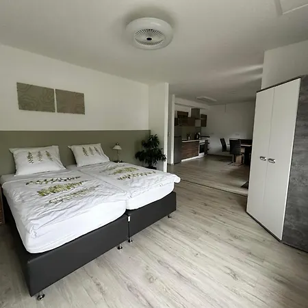 Haus Wijnen Apartment *