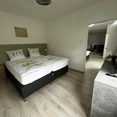 Appartement Haus Wijnen *